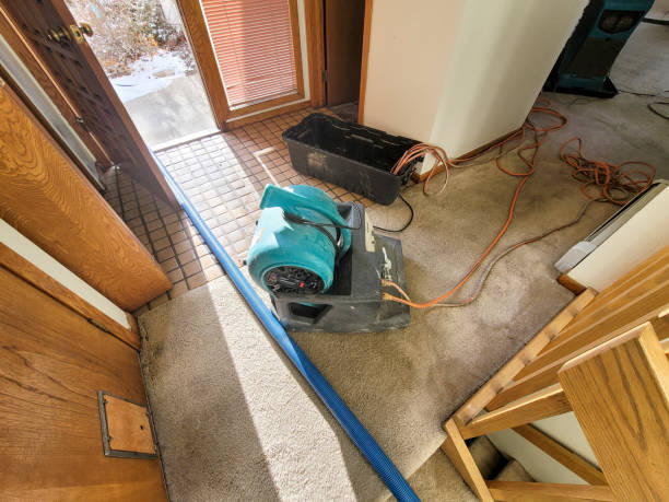 Best Water damage mitigation services  in Normandy, MO