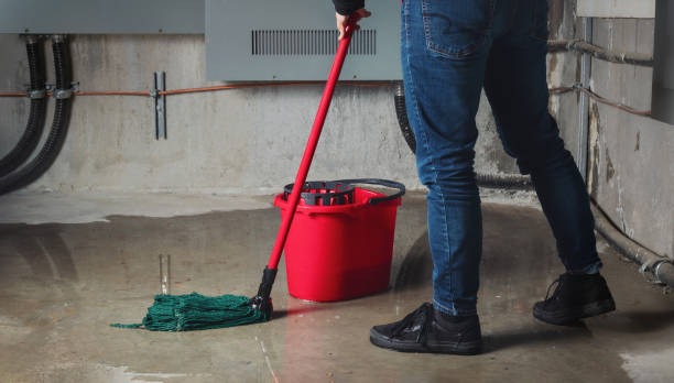 Best Residential water damage restoration  in Normandy, MO