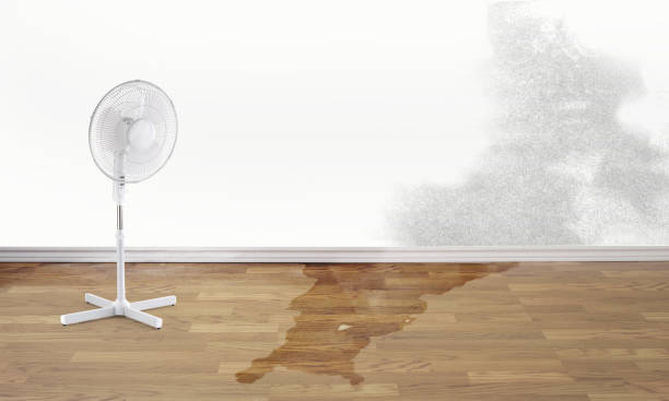 Best Water damage repair service  in Normandy, MO