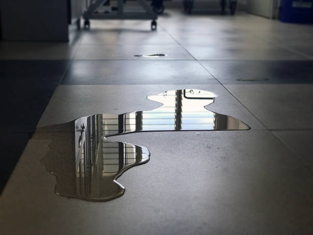 Best Water damage restoration near me  in Normandy, MO