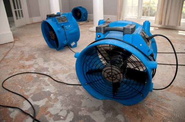 Best Emergency water damage restoration  in Normandy, MO