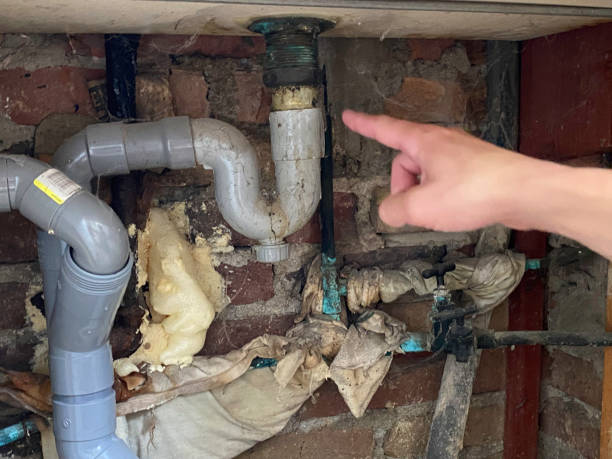  Normandy, MO Water damage restoration Pros