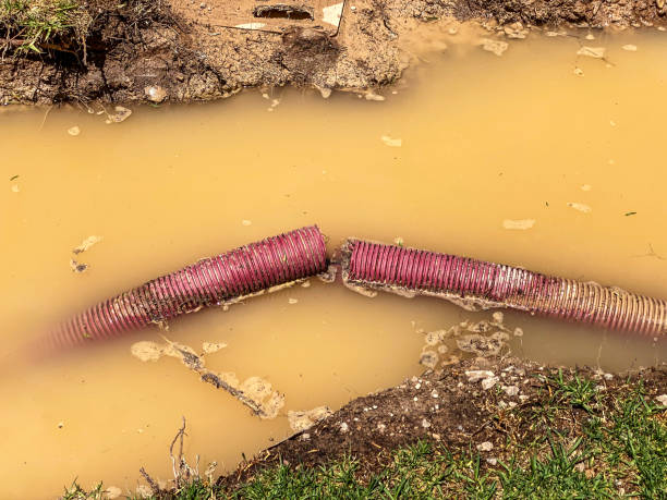 Best Water damage restoration process  in Normandy, MO