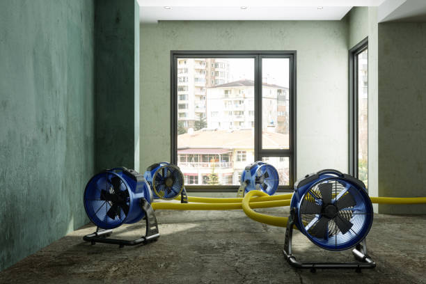 Best 24-hour water damage restoration  in Normandy, MO