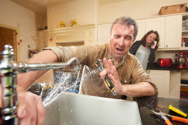 Best Flood restoration services  in Normandy, MO